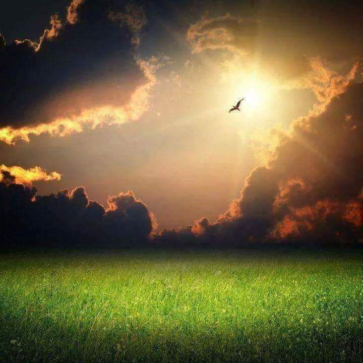 Uzak ve imkansız mı gerçekten !!!
Belki de yakın ve mümkündür !!!

Rabbim bilir :)

Can Tanem
<a href="/can_evim/">Can Tanem</a>