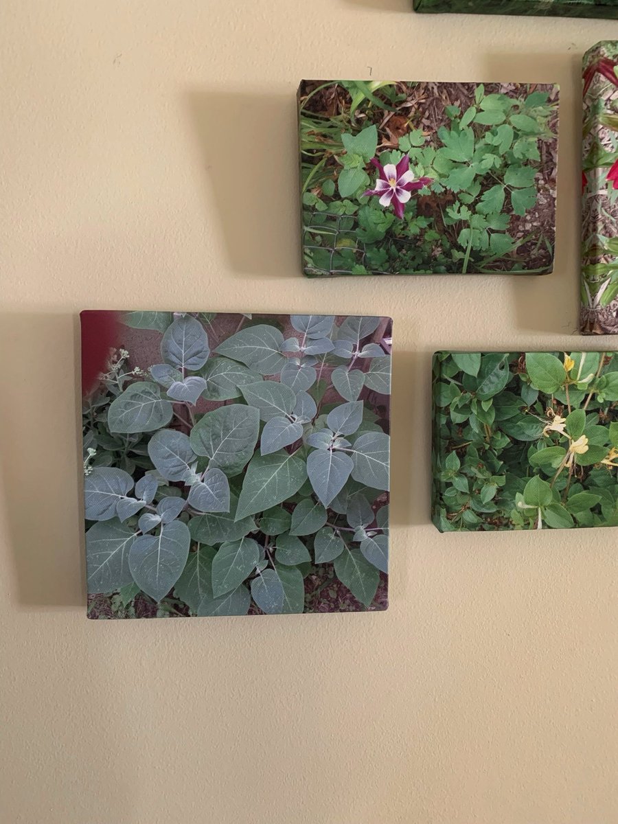 ErinDrees's tweet photo. obsessed with this picture my grandma had made into a canvas and hung up in her hallway that has her finger in the shot <3 https://t.co/wnOuwqynmW