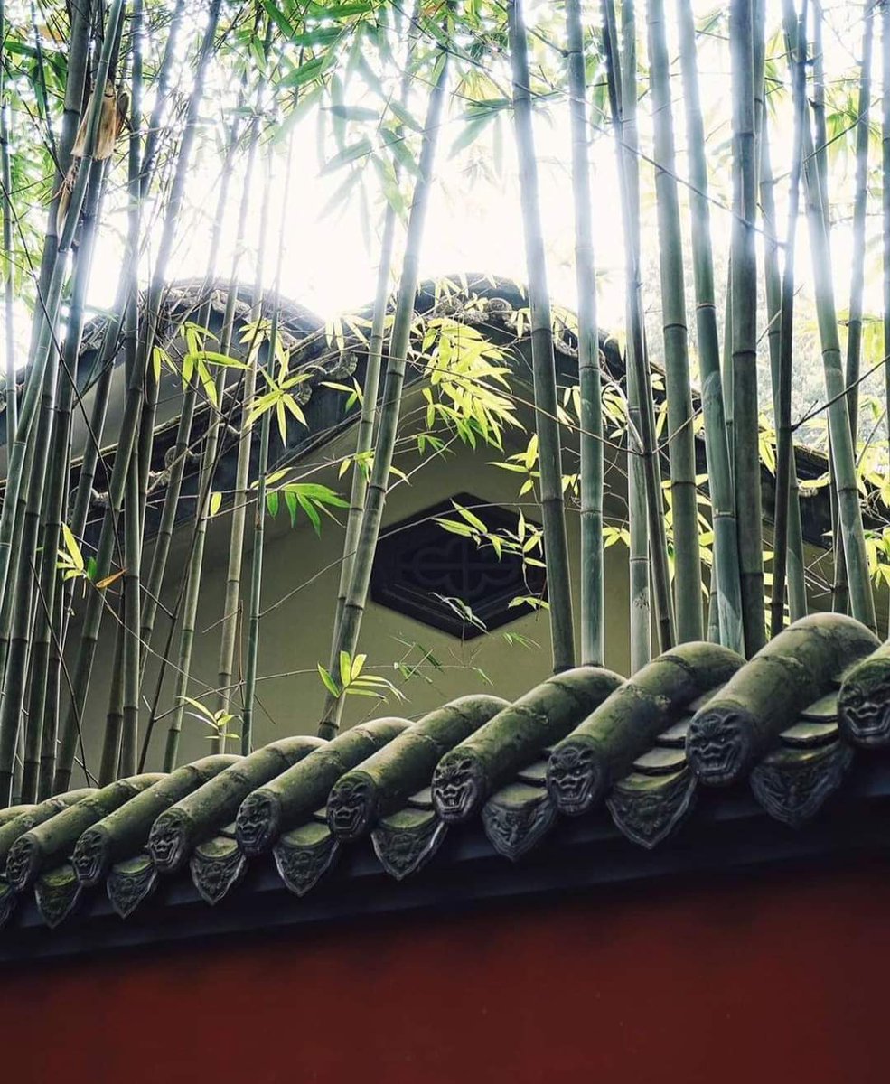 Chengdu_City's tweet photo. Green bamboo and red walls in #Chengdu Wuhou Shrine Museum and Du Fu Thatched Cottage
Photo by thechinatrips https://t.co/2NRh6ag2yq