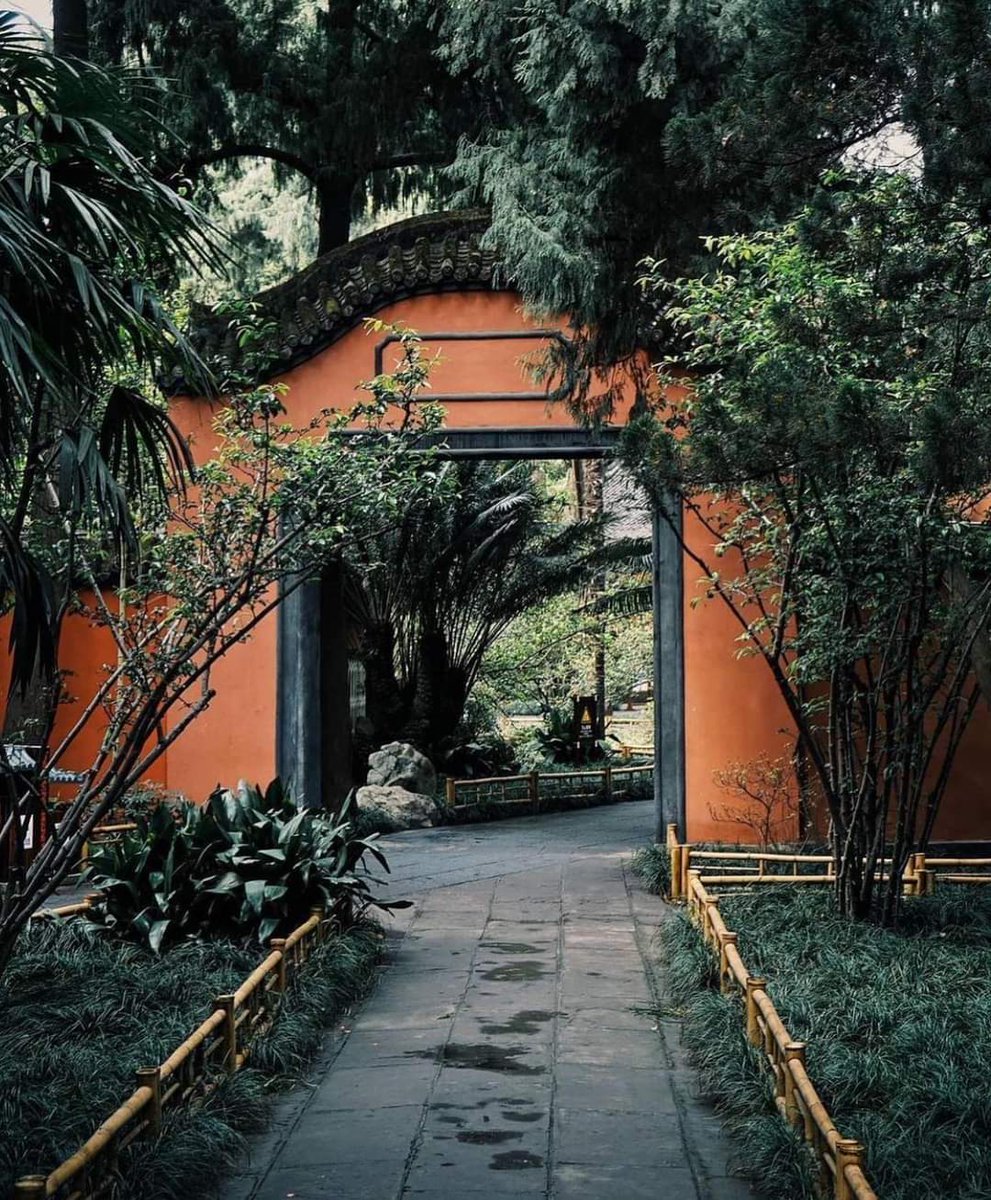 Chengdu_City's tweet photo. Green bamboo and red walls in #Chengdu Wuhou Shrine Museum and Du Fu Thatched Cottage
Photo by thechinatrips https://t.co/2NRh6ag2yq