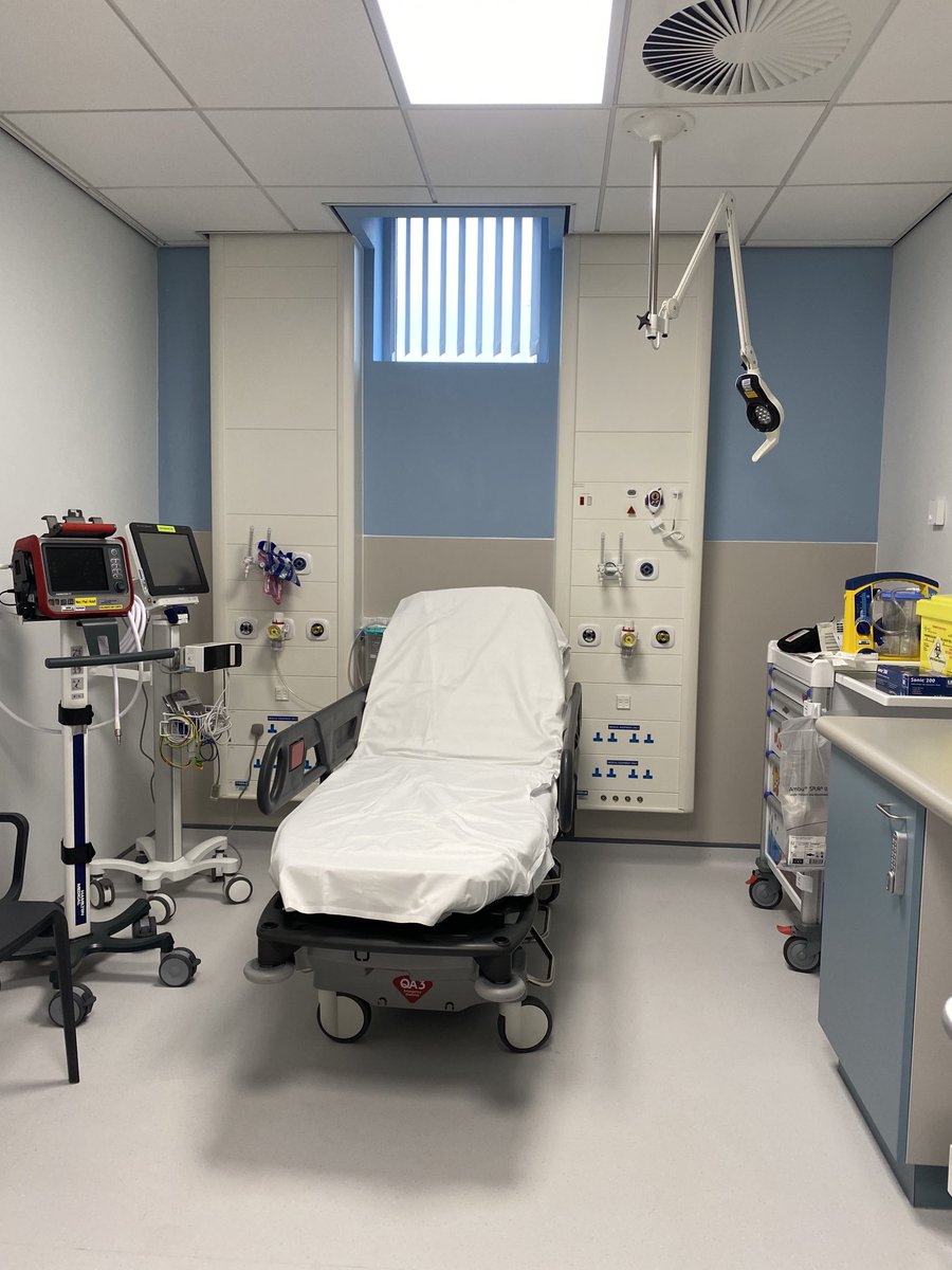 Donna Walsh tweet media