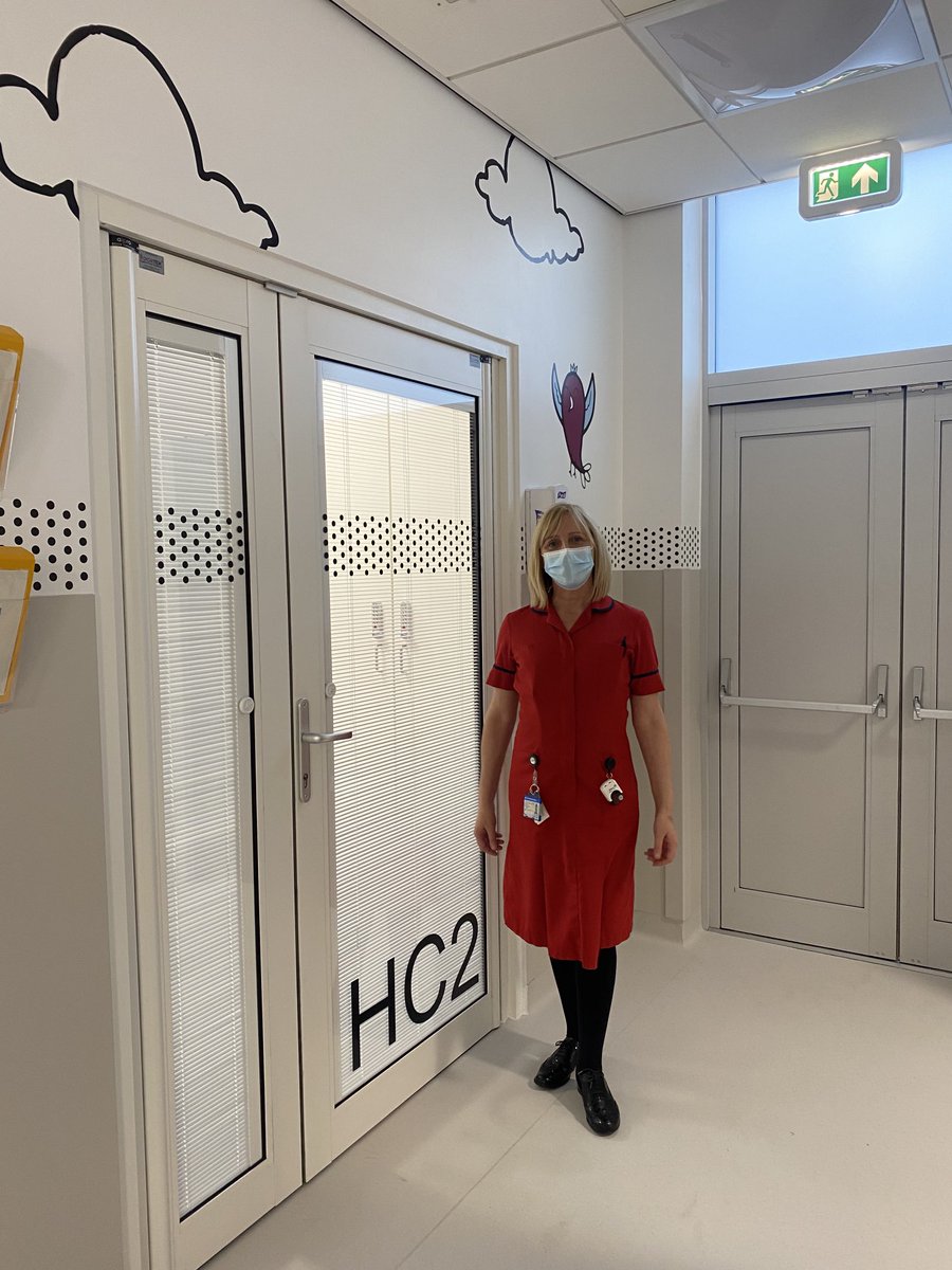 Donna Walsh tweet media