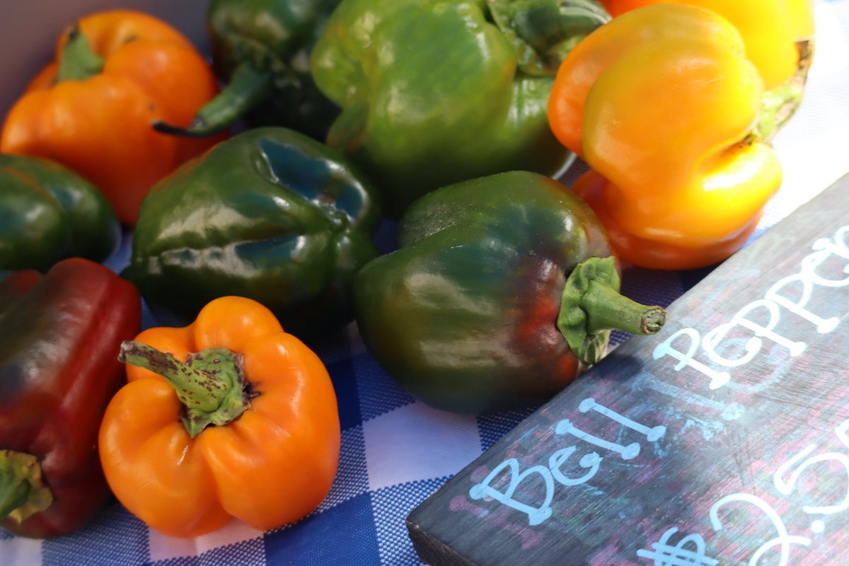 What are you looking for at #farmersmarket this week? We have local meats, dairy, eggs, fresh produce, breads, jams, pickles and more! This week Riley Family Farm returns to market. Market is every Wednesday 5-8PM at the <a href="/ArtCenterCC/">Art Center of CC Tx</a>! #shopsmall #shoplocal #localfood