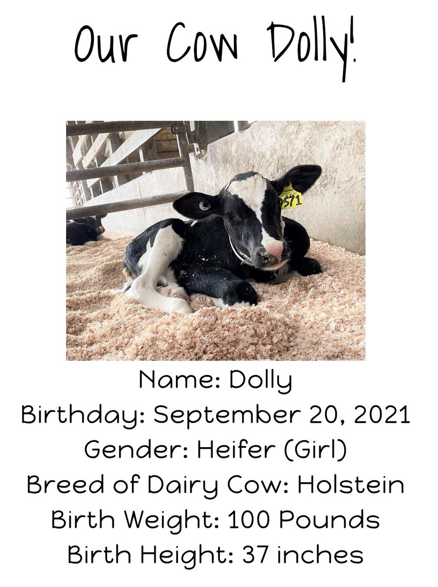 🅼🆁🆂 🅴🅻🅳🅴🆁 tweet media