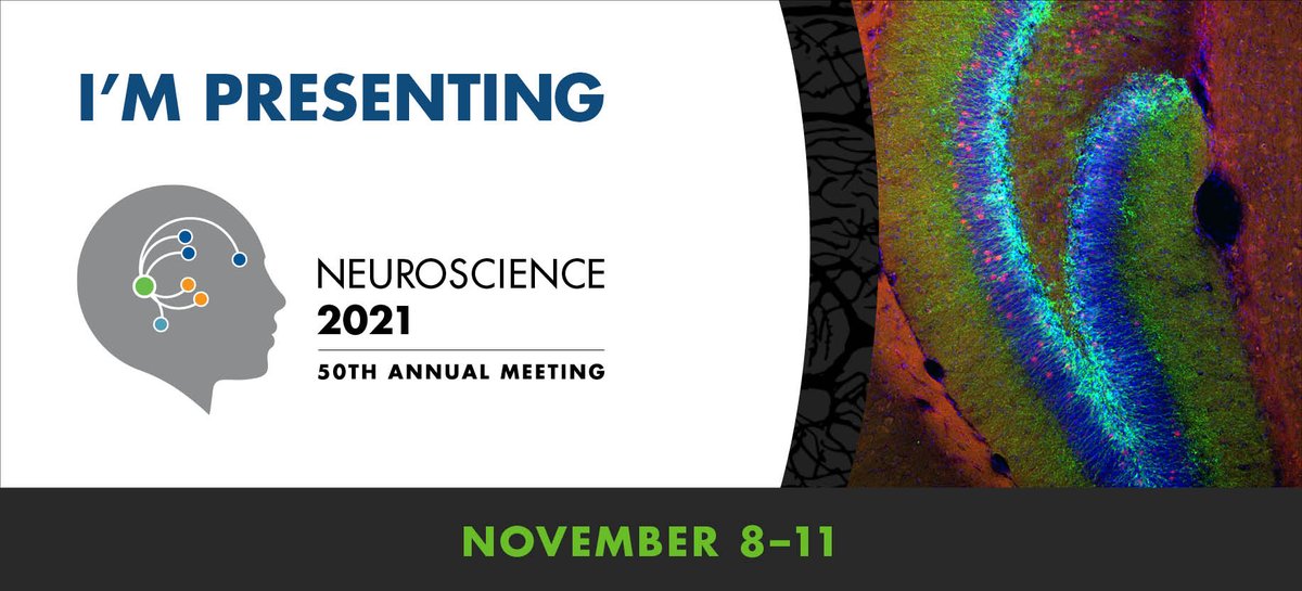 Happening now, if you want to learn more about mitochondrial OXPHOS function across aging, visit my poster #SfN21 🧠
P210.05 Sex differences in age related modulation of synaptic mitochondrial function in the hippocampus and PFC