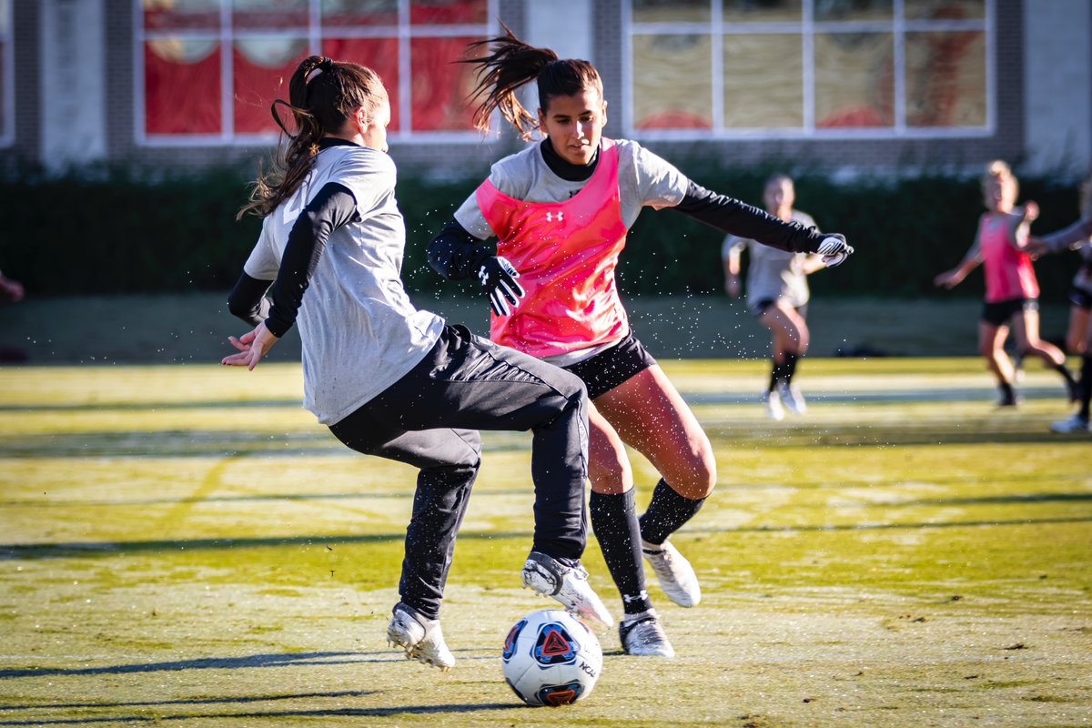 NCAASoccer's tweet photo. Back in the lab. ⚗️🧪

#NCAASoccer x 📸 @GamecockWSoccer 
https://t.co/qLkOhBv6Yb