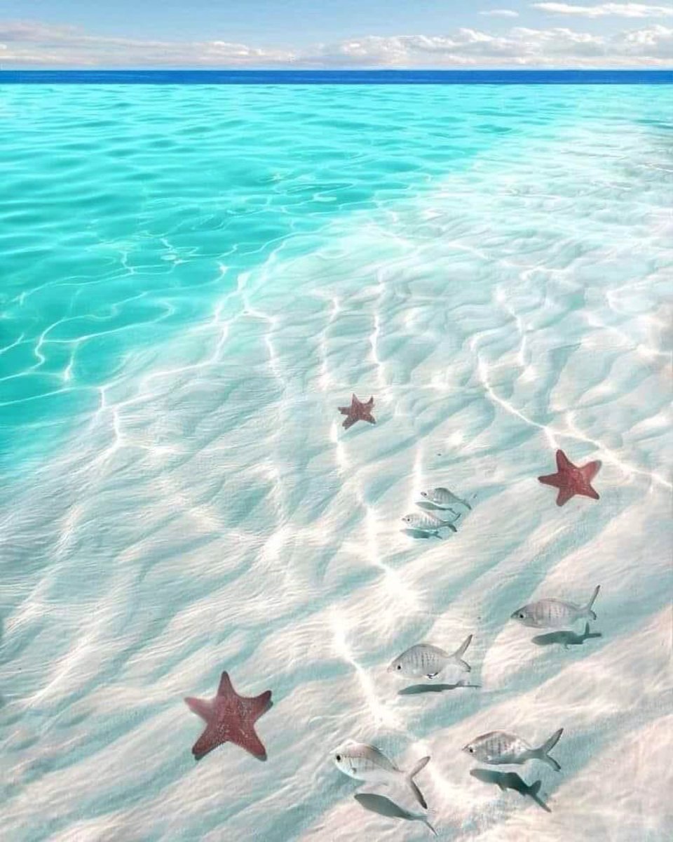 DeeonaFuson's tweet photo. PRINCIPLES OF MIRACLES 5
Miracles are habits, and should be involuntary. They should not be under conscious control. Consciously selected miracles can be misguided.”
A Course In Miracles #acim #miraclesofcourse #miracles https://t.co/r1emyKxexm