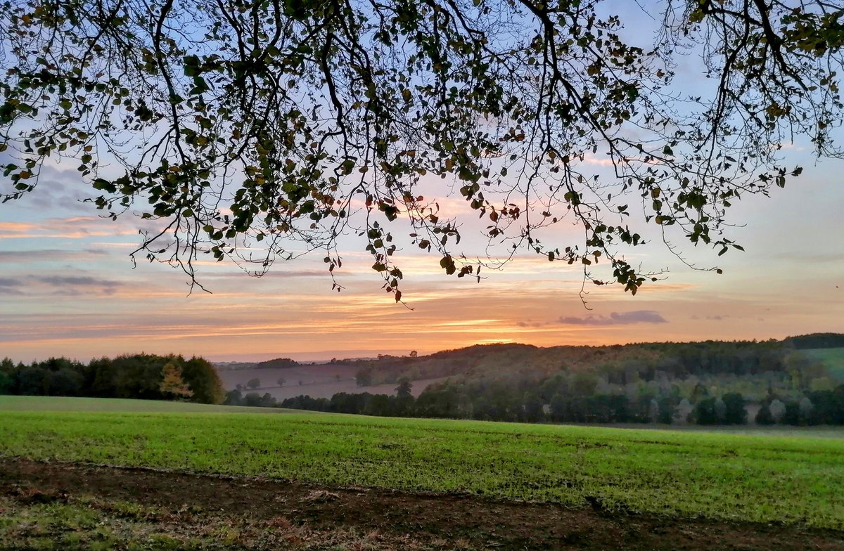 Helen Taylor tweet media