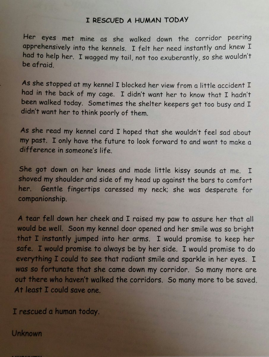 This brought a tear. We adopted 2 pups from the shelter. This came with it.