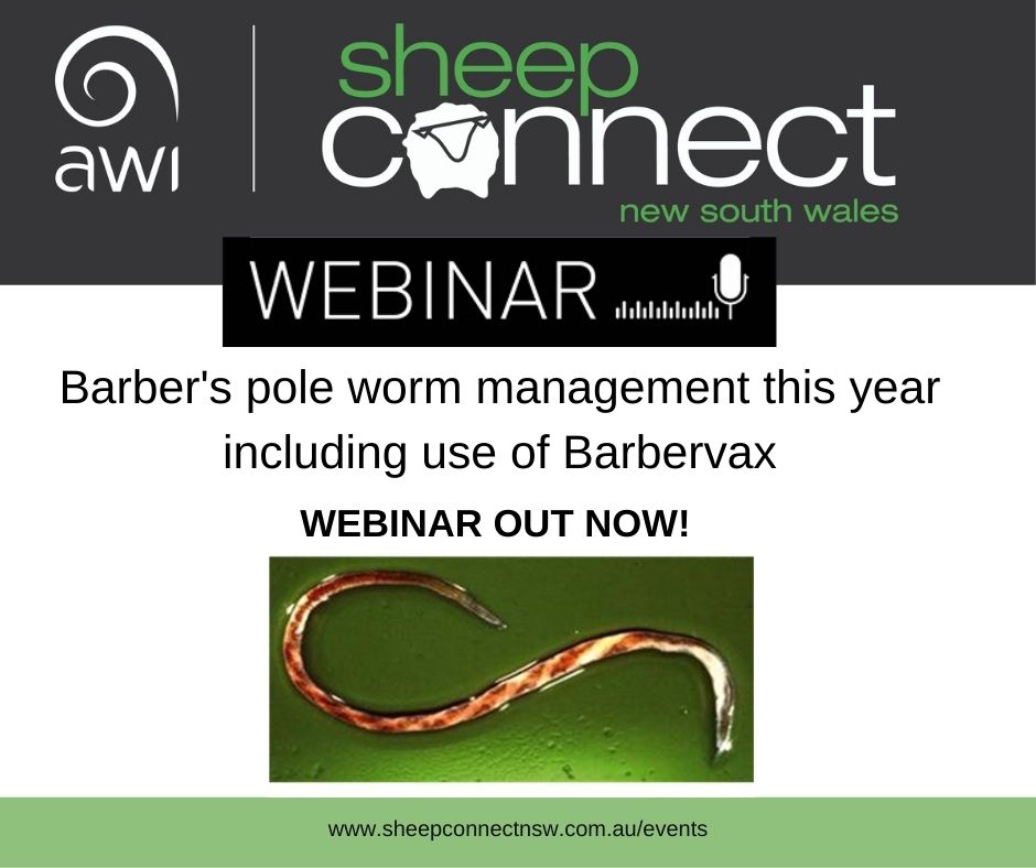 Fantastic special webinar last night on Barbers Pole Worms, 🐛 if you missed it you can now catch up the recording!😃
Recording: ➡bit.ly/3bWjalP
#worms #sheepworms #barberspoleworms