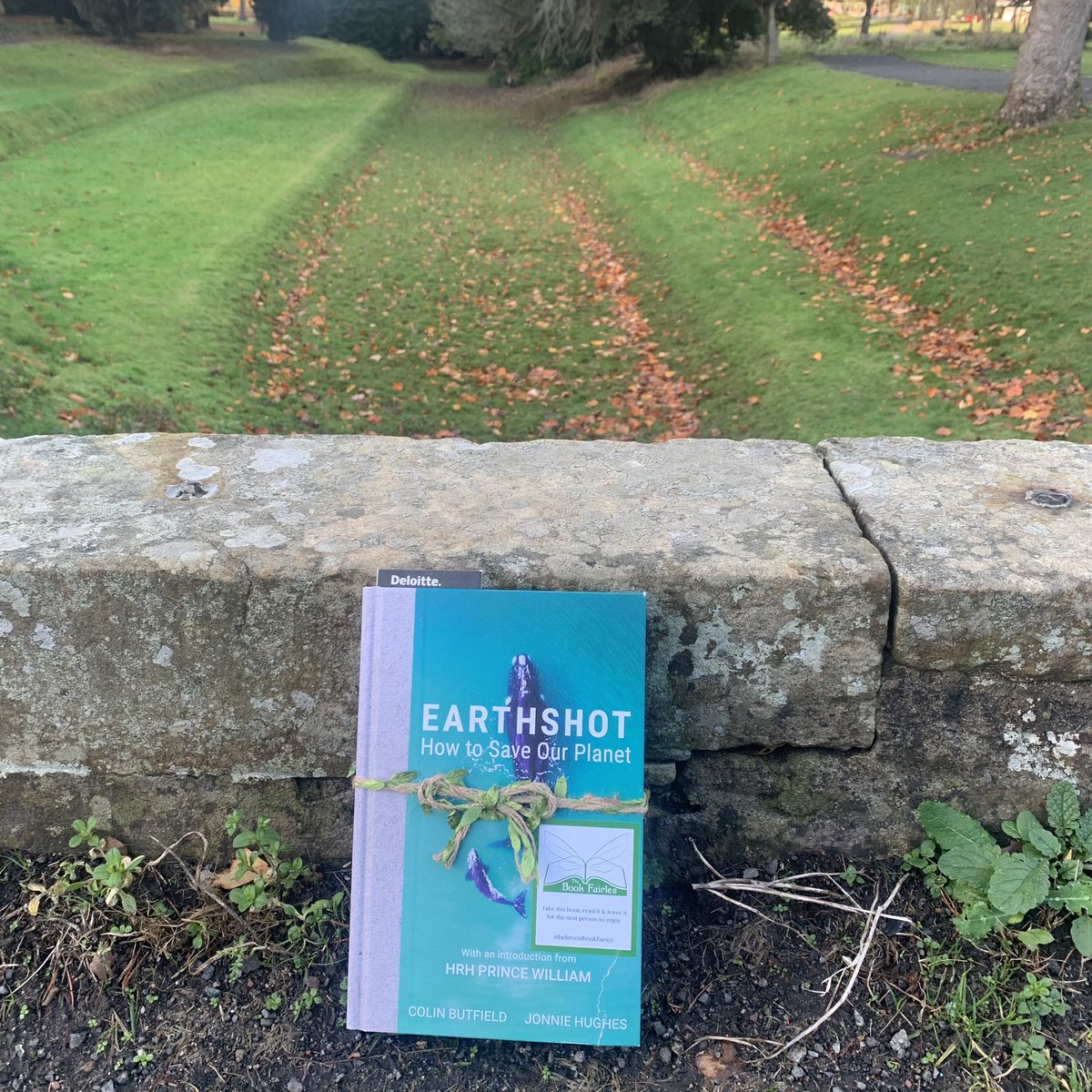 #DeloitteBookFairies are sharing books from a #LightBulbList of recommended reads! We left #EarthShot at Callendar Park today! #IBelieveInBookFairies #COPBookFairies #DukeofCambridge #EarthShotPrize #GreenBookFairies  #Cop26  #Deloitte #PrinceWilliam #DavidAttenborough
