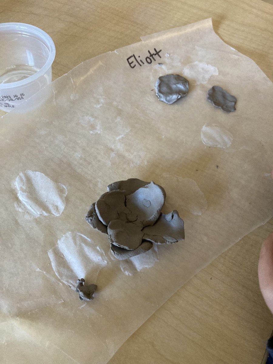 MissVictoria tweet media