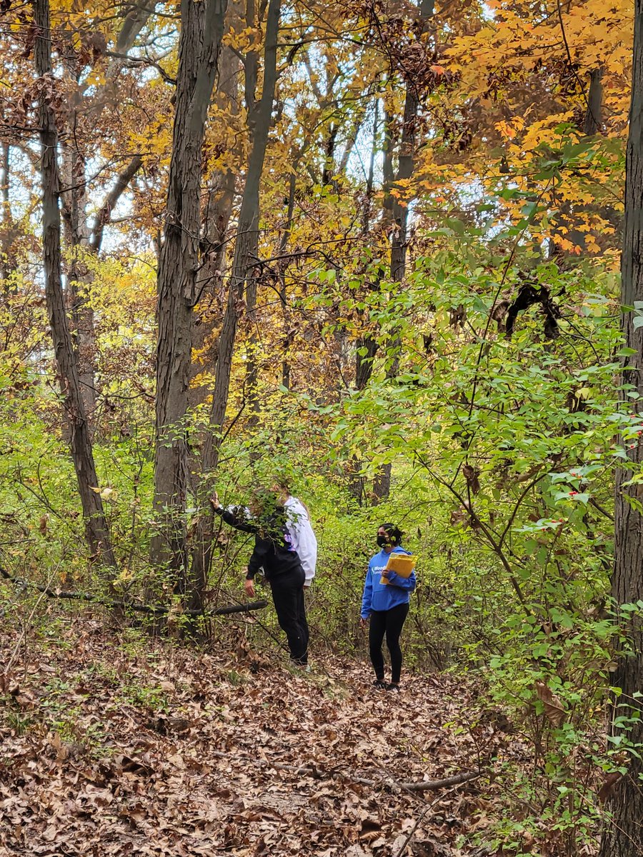 Sarah Moonier tweet media