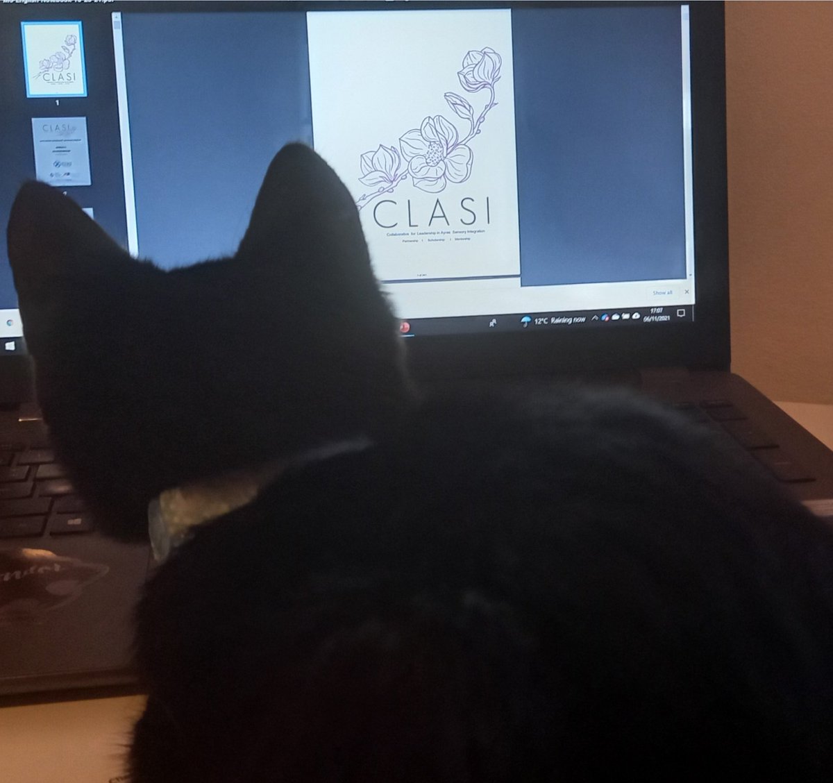 EmilyWardxx's tweet photo. Busy week with my sensory learning. Competed first weekend of ASI M6 this weekend, presented my M3 presentation tonight and M6 next weekend. All with Cleo sat watching the screen. She's great company untill she chews the corner of the laptop. @asi_wise #OT https://t.co/zeN7CFgnw0