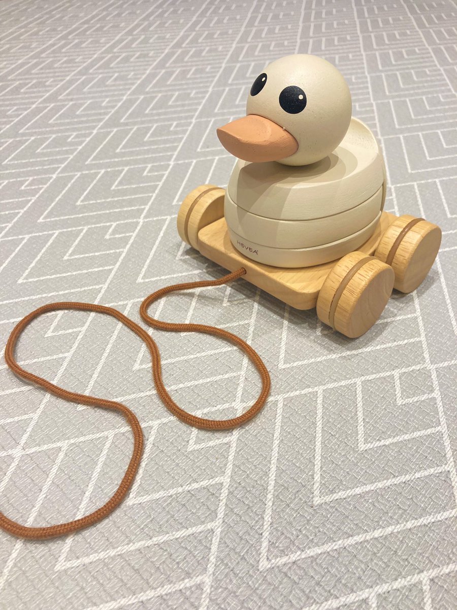 Cat Stevenson tweet media