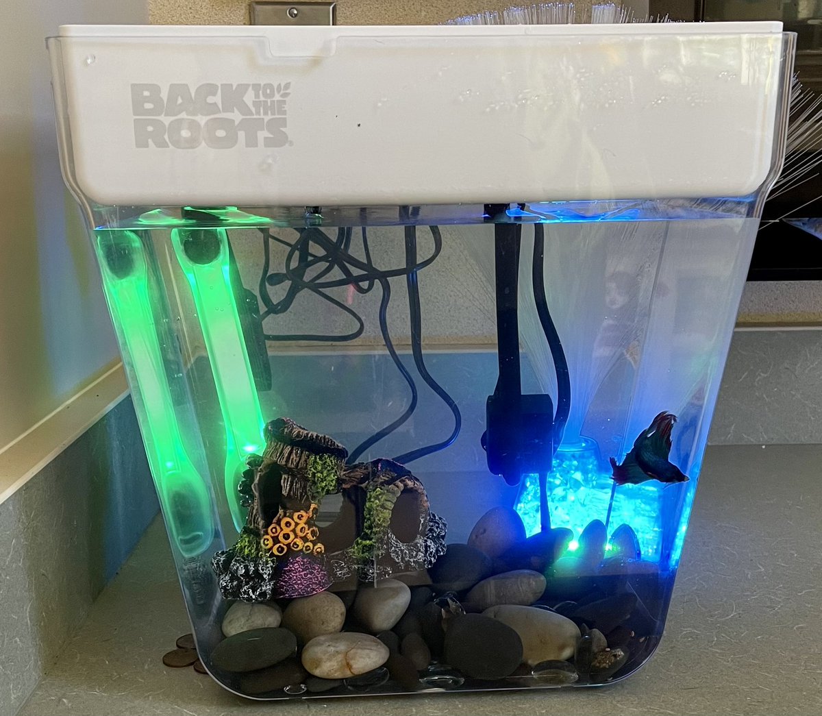 Jess Hardy tweet media