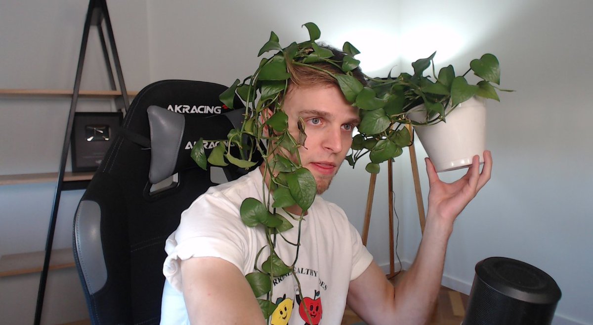 live na <a href="/TwitchBR/">TwitchBR</a> jogando o novo kit do <a href="/TheSims/">The Sims</a> 4 e dizendo que todas as plantas são lindas #TheSims4 #thesims 

twitch.tv/dimas
twitch.tv/dimas
twitch.tv/dimas