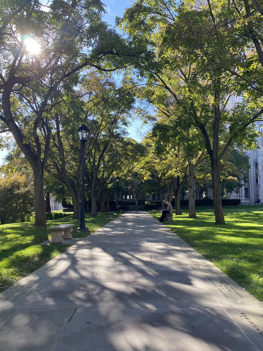 CarlsBeef's tweet photo. The University of Pittsburgh rocks https://t.co/uXqV5FS27Q