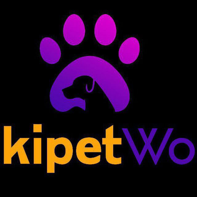 Upcoming IDO

FLOKIPETWORLD

It presents the most adorable pets ever on blockchain giving floki pet lovers the opportunity to collect, trade and diversify their portfolio.

IDO DATE: 12th November, 2021
(18:00 UTC)

T.me/Flokiworldpet1
#NFTs #GameFi #Fpets #IDOscan #BSCGem