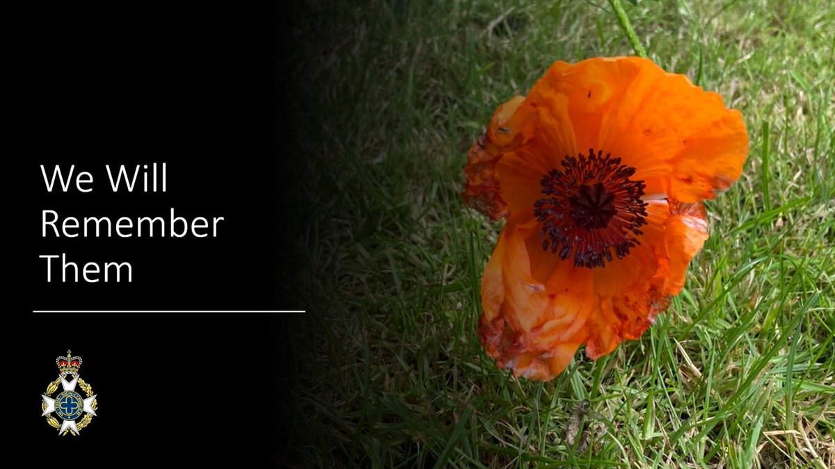 The poppy helps us to reflect on the fragility of the human spirit. Both are beautiful but sadly short lived. Today we remember those who have died, or who still suffer as a result of war. #WeWillRememberThem
