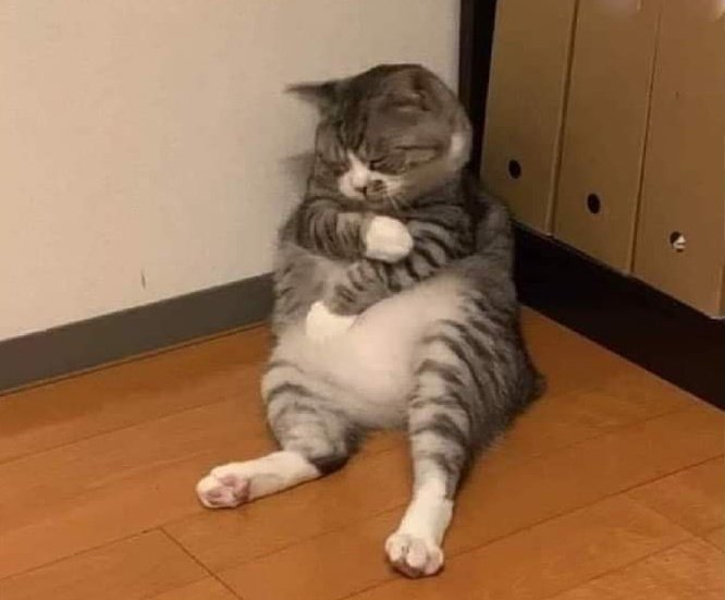 Wuolah's tweet photo. yo: voy a estudiar en la cama para estar más cómoda

yo a los 2 minutos: https://t.co/F8vGM39y0R