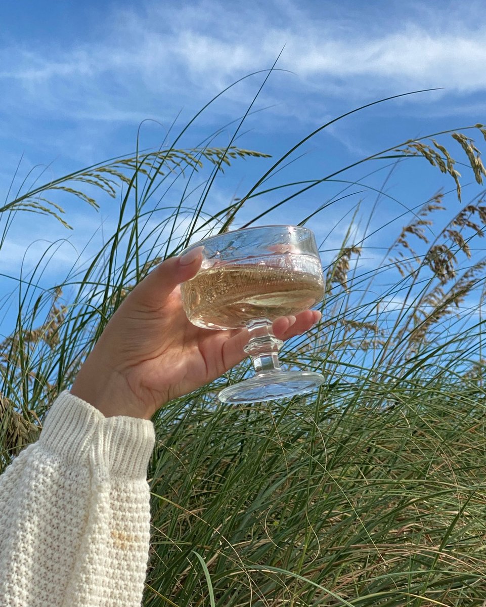 BEAUTOLOGYLAB's tweet image. Some days you just need a little vino.🍷
Fun fact, white wine is packed with antioxidants which help fight aging by providing healthy, soft and supple skin. You’re welcome. ✨ #BeautologyLab