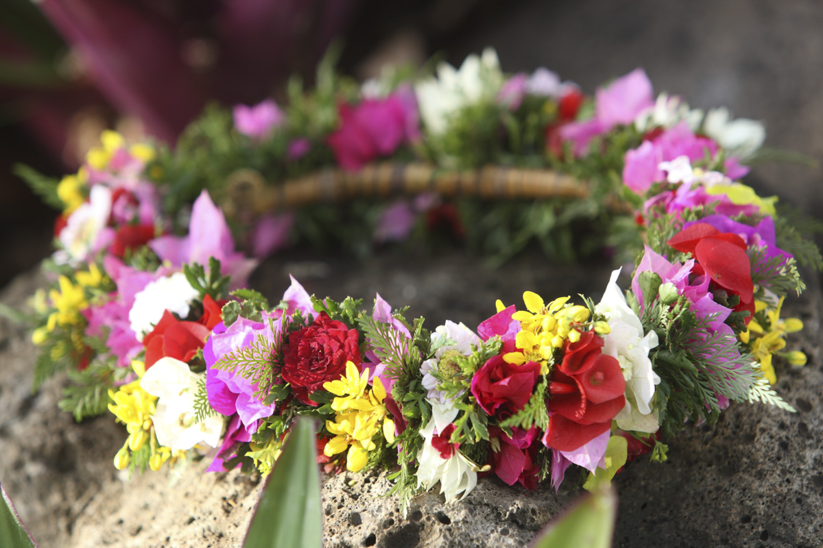 lealeahawaii's tweet photo. ハクレイを見ると、幼い頃、母とシロツメクサで花冠を作ったのを想い出します☺️🍀
Photo by KUNI NAKAI
これまでの #今日の一枚 はこちらから👇
https://t.co/ltsAsyCP6z
#ハクレイ #ハワイ好きな人と繋がりたい #ハワイ写真 #hakulei #Hawaii #PhotoOfTheDay https://t.co/kxwMJK8aGJ