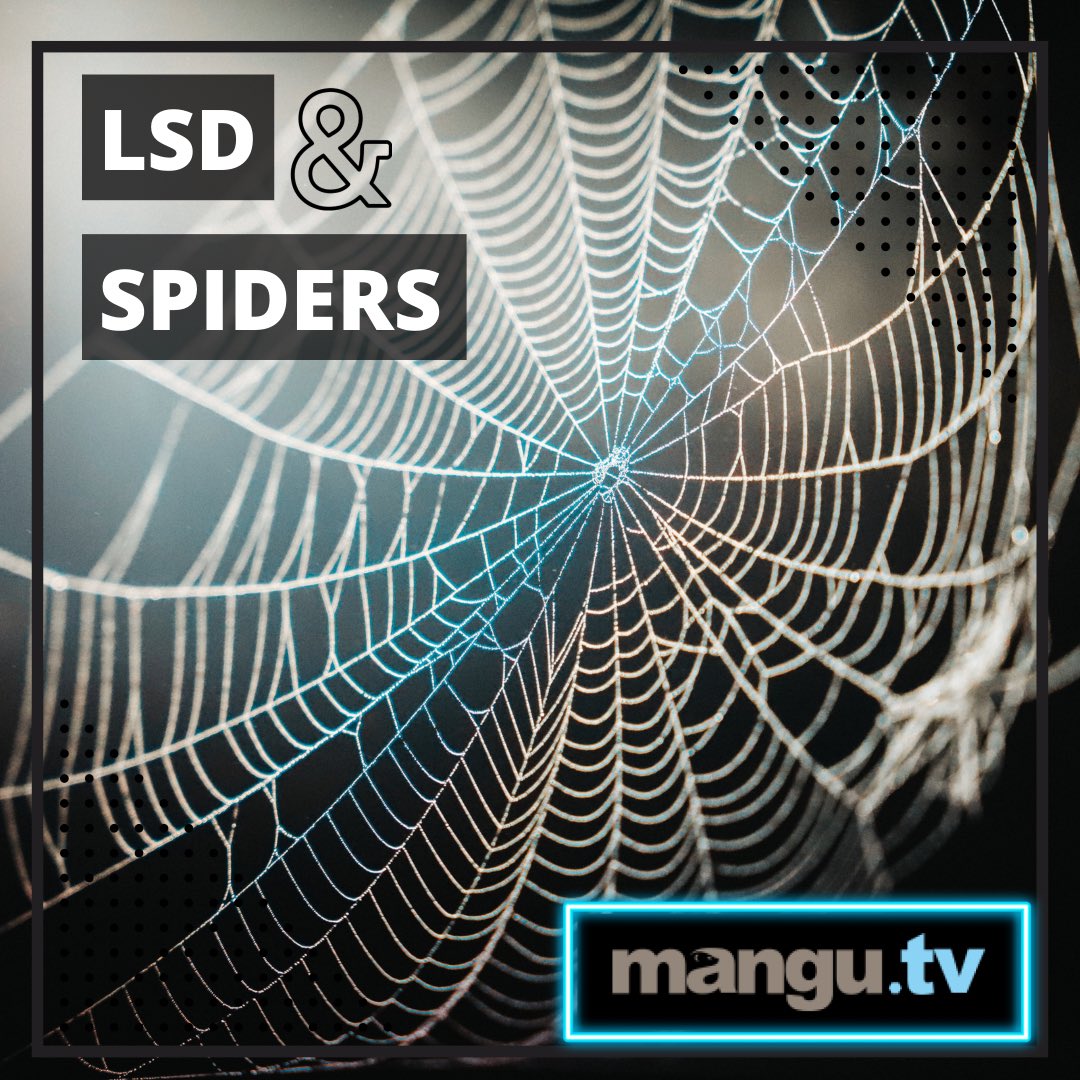 Have you ever thought about what happens to spiders on LSD? 🕷
Well we have! And we are not the only ones apparently 😁
P.N. Witt, a psychopharmacologist, conducted research on the effect of various drugs on spiders way back in 1948.
Check out our blog:
Mangu.tv/lsd-and-spider…
