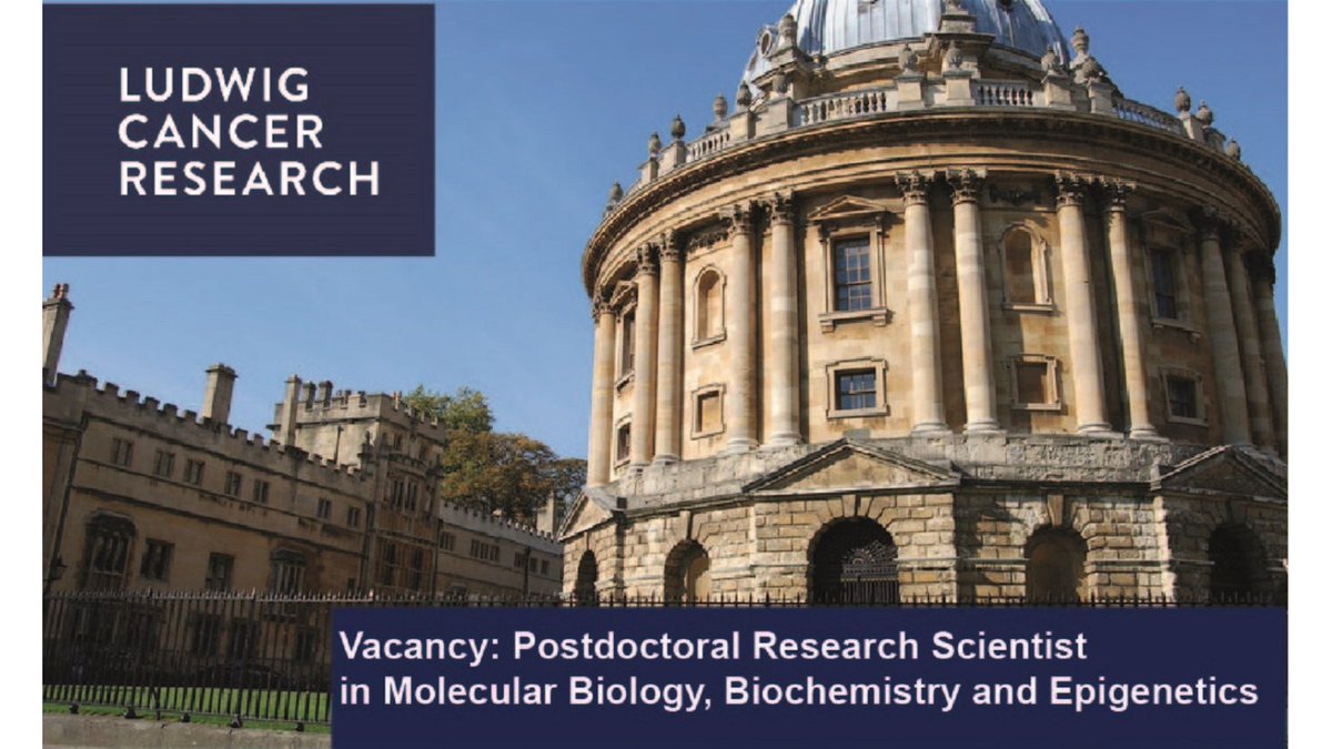 Ludwig Cancer (@ludwig_cancer) on Twitter photo Great opportunity for a Post-Doc Research Scientist in <a href="/sk_kriaucionis/">Skirmantas Kriaucionis</a> and <a href="/Stefan_constan/">Stefan Constantinescu</a>’s groups at Ludwig <a href="/NDMOxford/">Nuffield Department of Medicine</a>. Apply by December 6 bit.ly/3wuSDp0 Great opportunity for a Post-Doc Research Scientist in <a href="/sk_kriaucionis/">Skirmantas Kriaucionis</a> and <a href="/Stefan_constan/">Stefan Constantinescu</a>’s groups at Ludwig <a href="/NDMOxford/">Nuffield Department of Medicine</a>. Apply by December 6 bit.ly/3wuSDp0