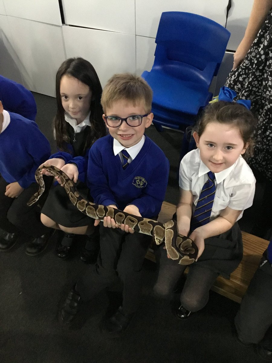 Y1 Northway tweet media