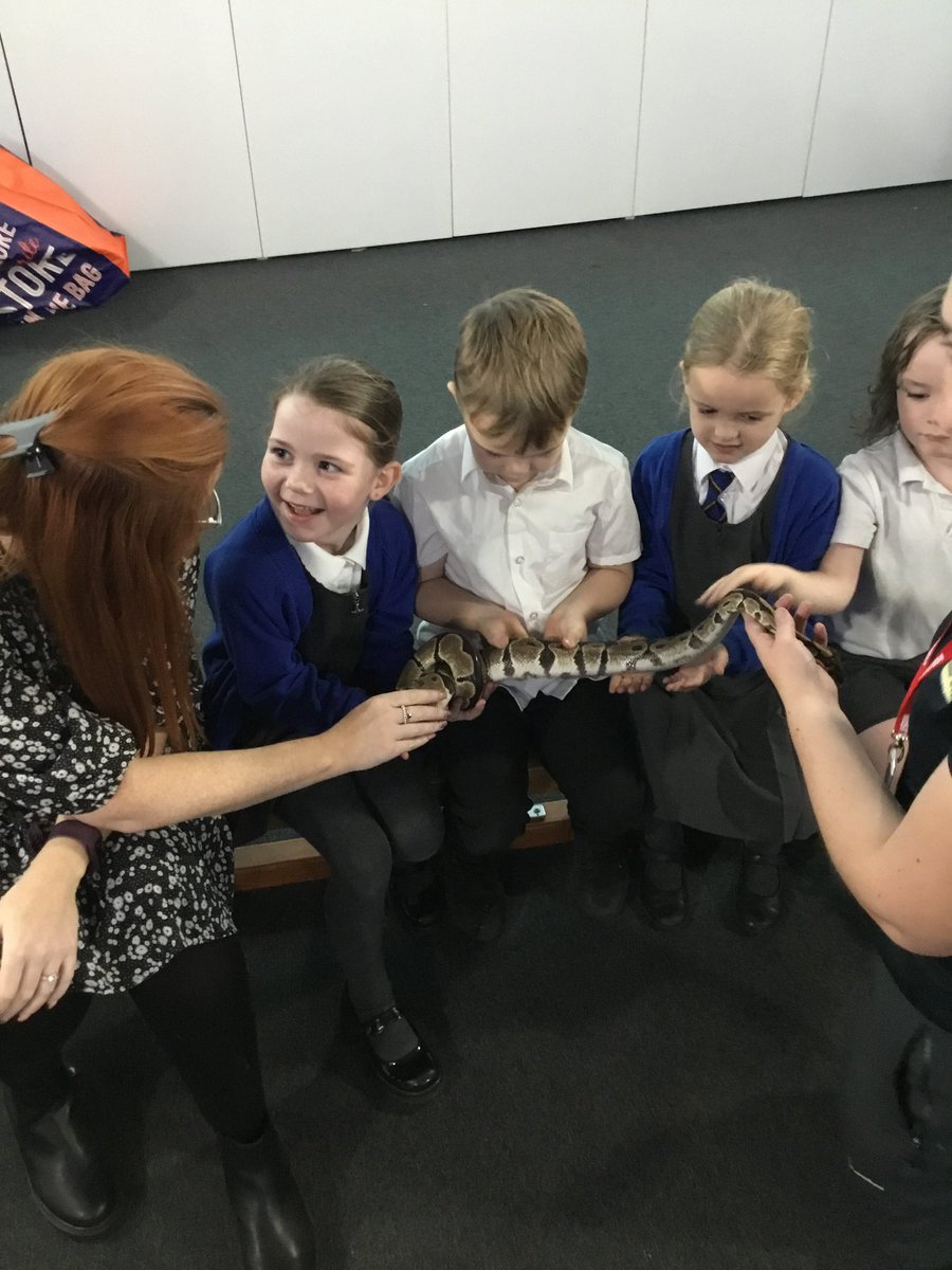 Y1 Northway tweet media
