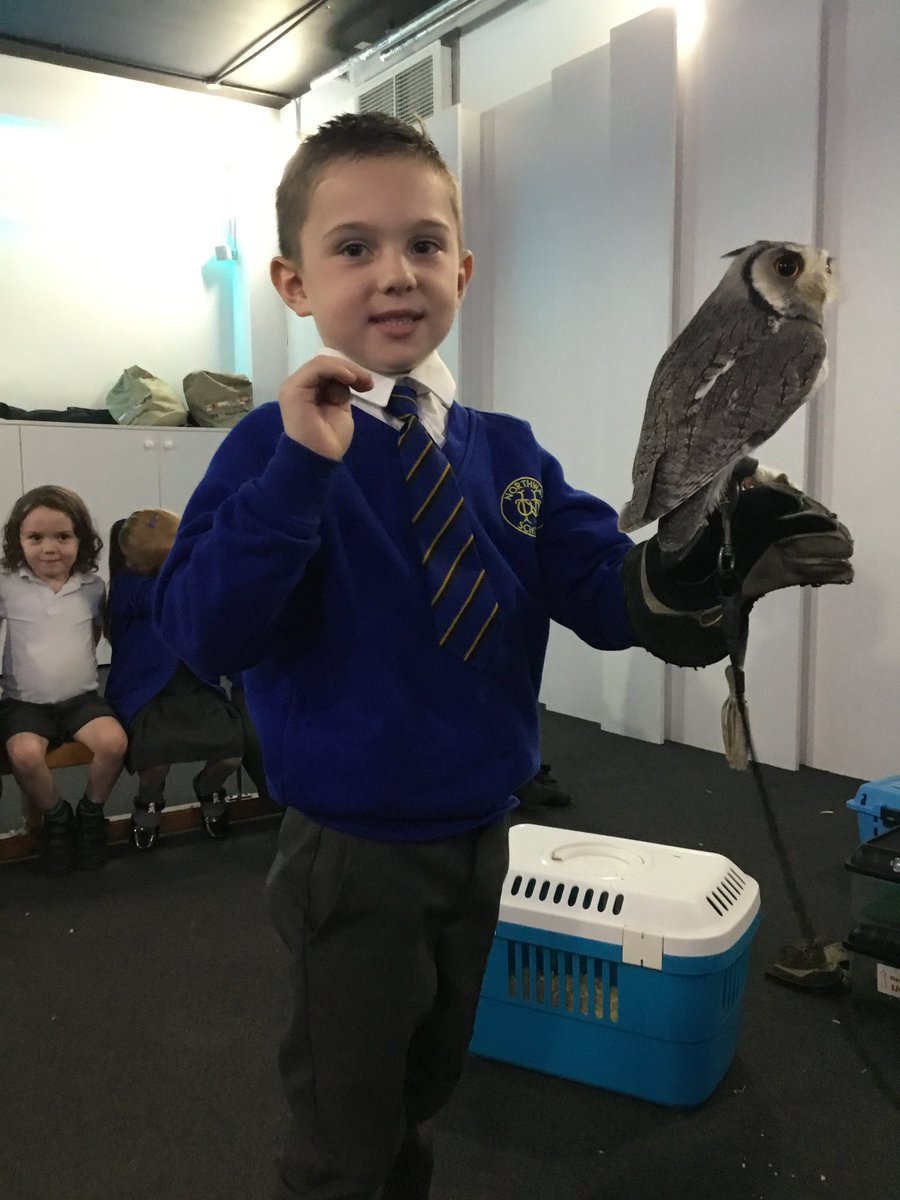 Y1 Northway tweet media