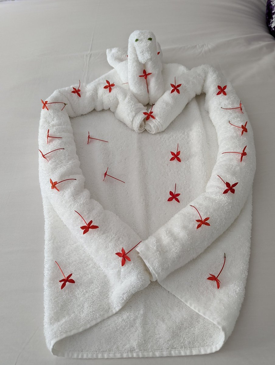Duncan4242's tweet photo. Towel critter game on point this week (the 'on point' comment worked better w/the towel penis, but forgot to post it).
#SwingsetDesire https://t.co/K0I826XCK4