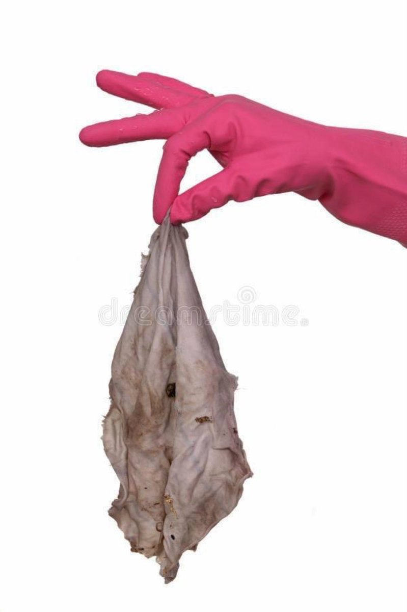 MundoCorrecta tweet media