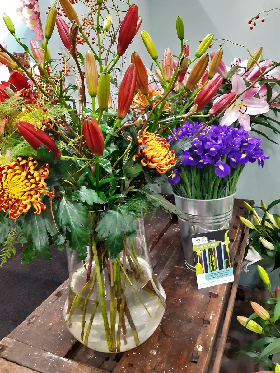 Luushooyman's tweet photo. De winkel https://t.co/YK7SV5hAFJ