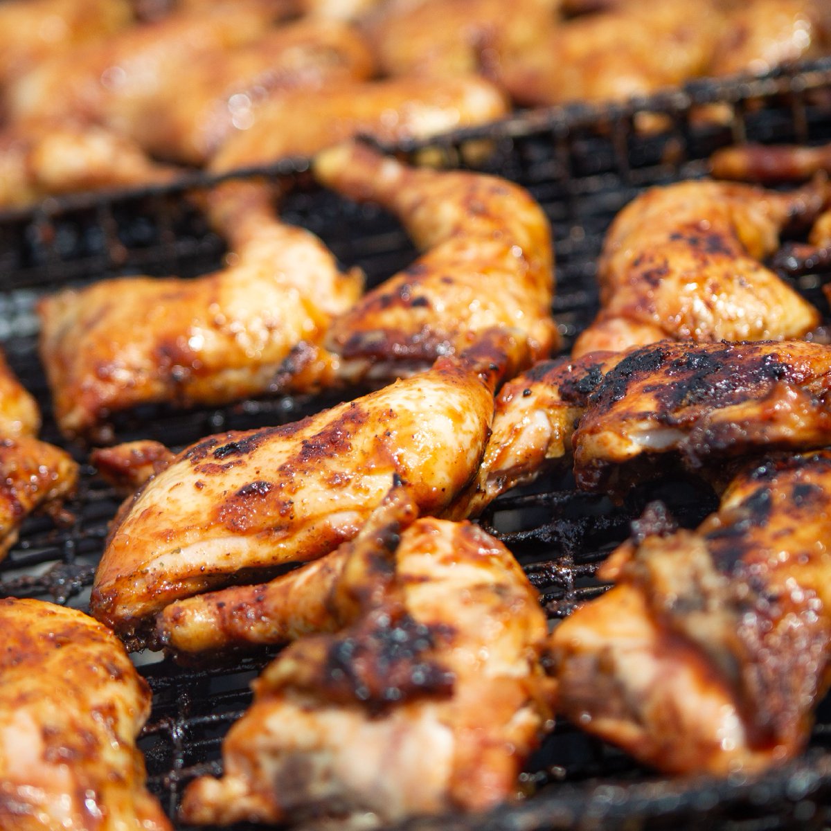 Jacksonville BBQ Festival (BBQFESTJAX) Twitter