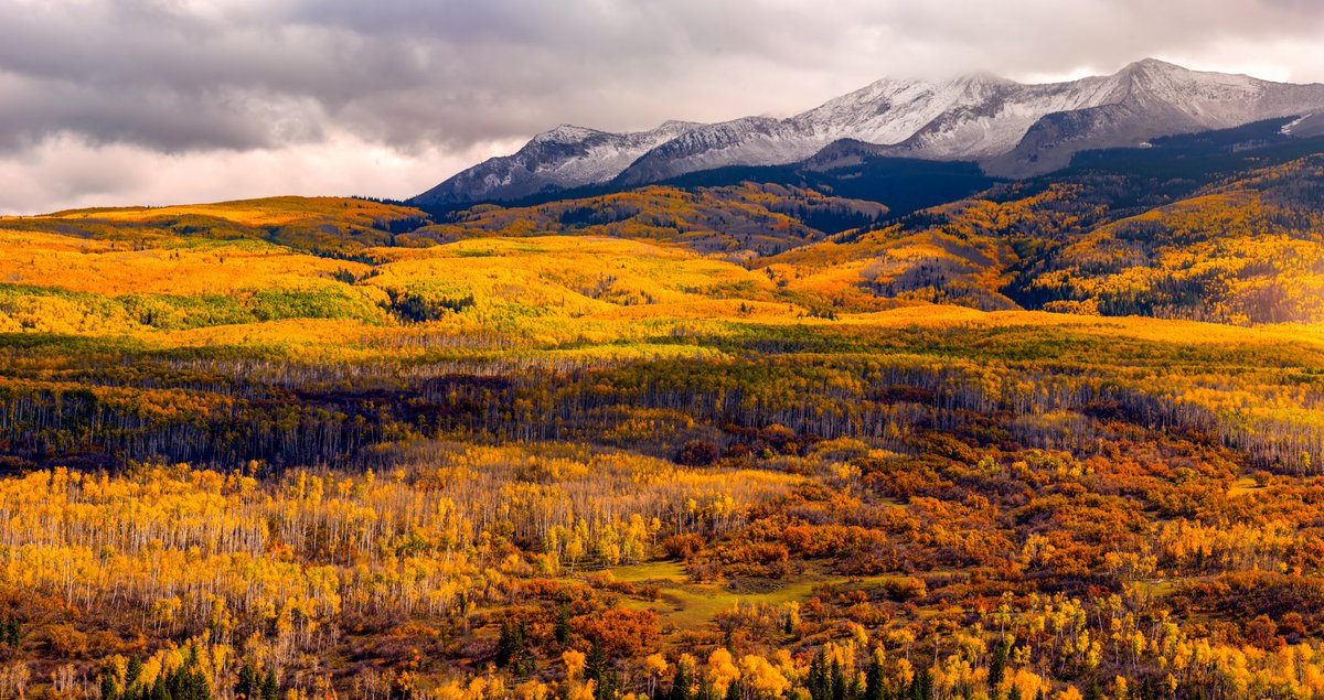 When the sun decided to peak through the clouds ⛅  

#colorado #fallcolors