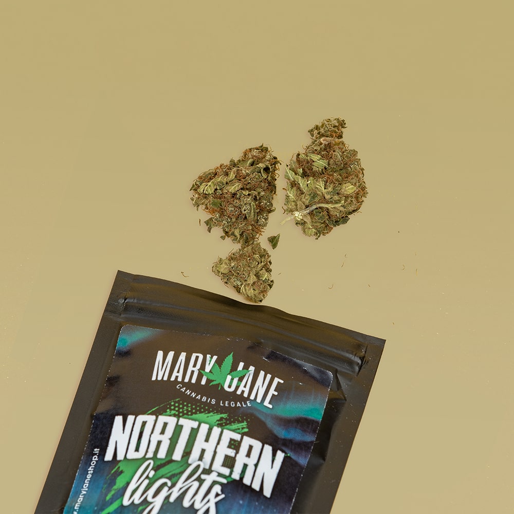 weedlywtf's tweet photo. 𝗣𝗲𝗿 𝘃𝗲𝗱𝗲𝗿𝗲 𝗹’𝗮𝘂𝗿𝗼𝗿𝗮 𝗯𝗼𝗿𝗲𝗮𝗹𝗲, 𝗯𝗮𝘀𝘁𝗮𝗻𝗼 𝗱𝘂𝗲 𝗷𝗼𝗶𝗻𝘁𝘀…😜
𝒩ℴ𝓇𝓉𝒽ℯ𝓇𝓃 ℒ𝒾ℊ𝒽𝓉𝓈 🌌, di Mary Jane Jesolo

𝖢𝗁𝖾 𝖿𝖺𝗂? 𝖳𝖾 𝗇𝖾 𝗉𝗋𝗂𝗏𝗂?
🔗 https://t.co/2PvrnUKSZS https://t.co/QTHvcCbtZh