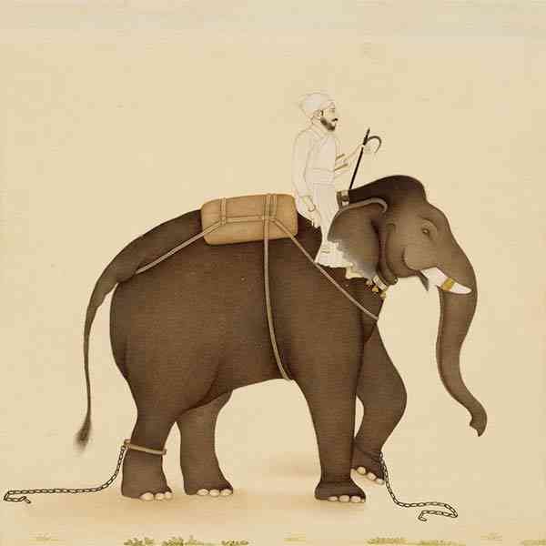 everydayhigher's tweet photo. “Everyone has two sides—a rider and an elephant. The rider represents the rational thinker, the evidence-based decision-maker. The elephant, on the other hand, is an emotional player, full of energy, and loyalty, who backs away, or rears up based on feelings and instincts.” https://t.co/gCfnCuLeik