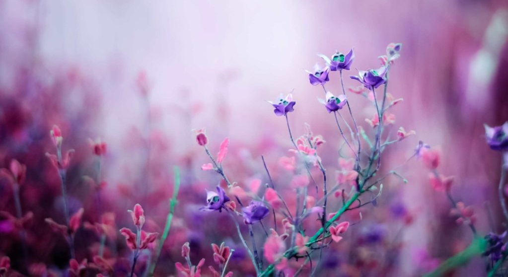 addyiceangel's tweet photo. Kindness can become it's own motive...
We are made kind, by being kind.
 ~      ~ Eric Hoffer ~      ~
✨🌸☀️😊😇😊☀️🌸✨ https://t.co/511gnz1oRw