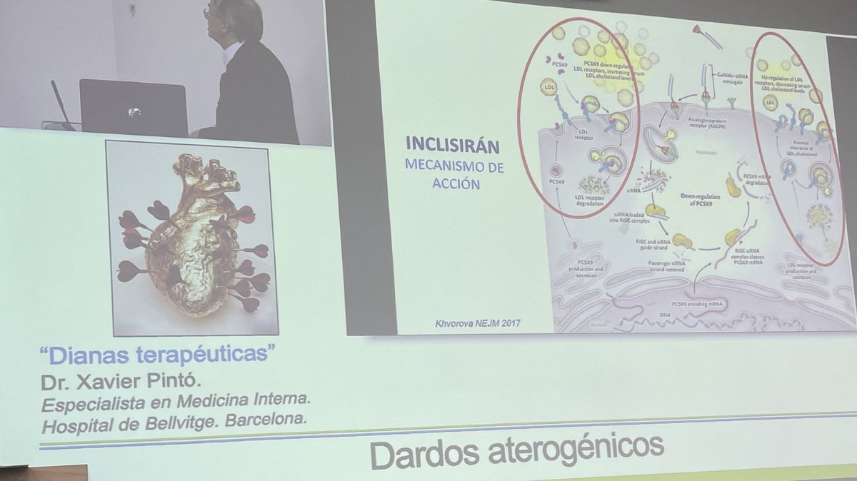 Lorenzo Fácila tweet media