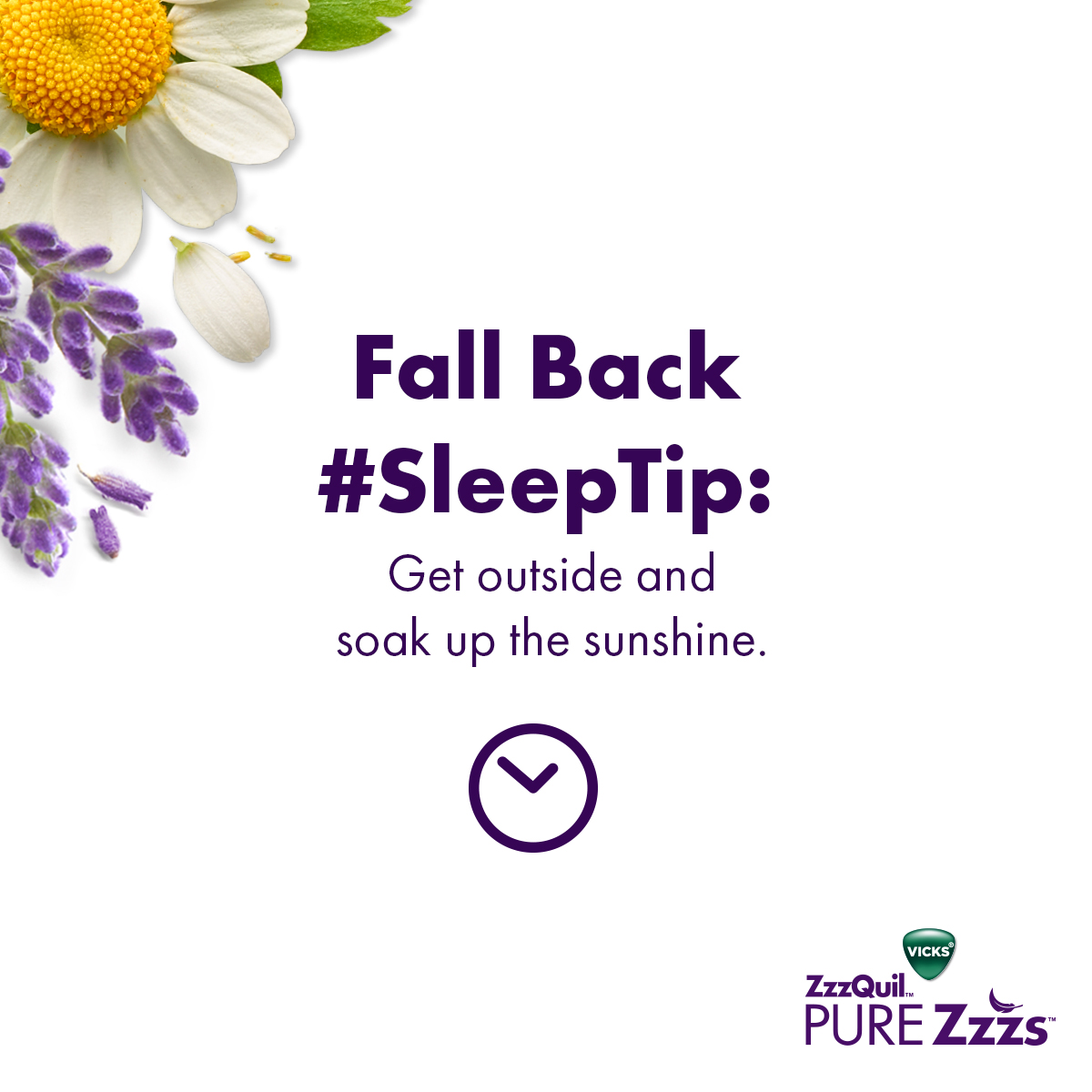 ZzzQuil on Twitter "Missing the long summer days? So does your brain