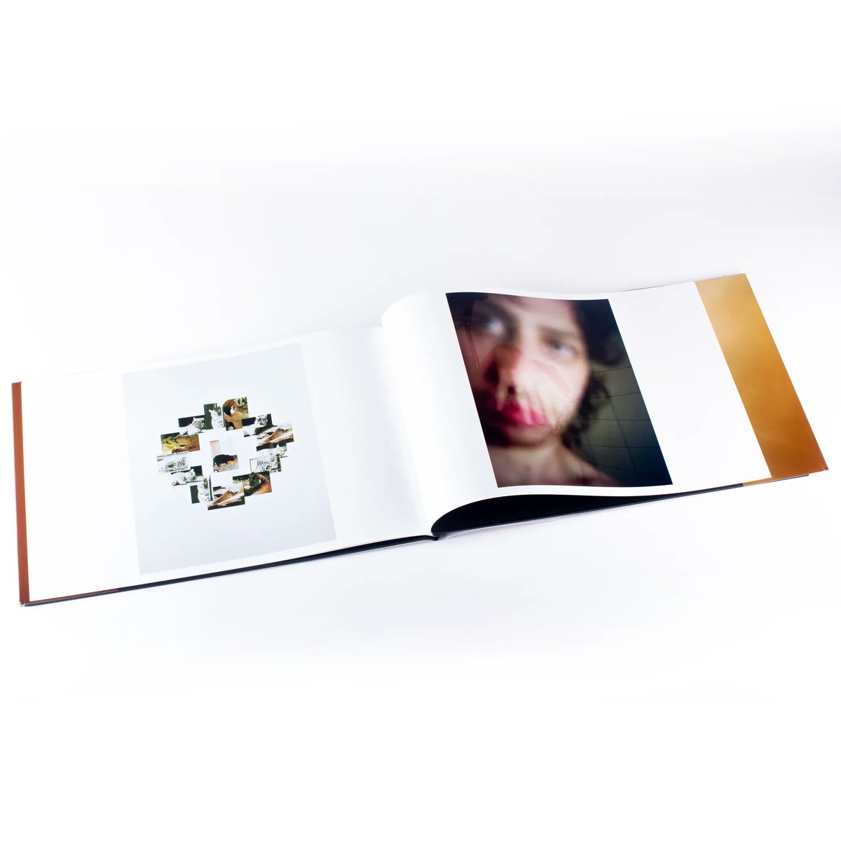 SVA BFA Photography tweet media