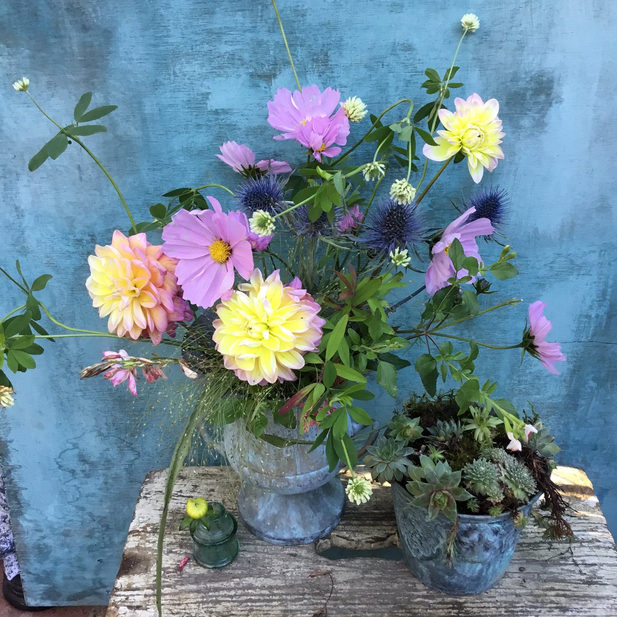 GardenBrocante's tweet photo. The leftovers! Hope you’ve had a good day, it’s been a lovely, sunny and mild one here! 🍂💚🌞💚🍂 https://t.co/L4KuNOhfJv