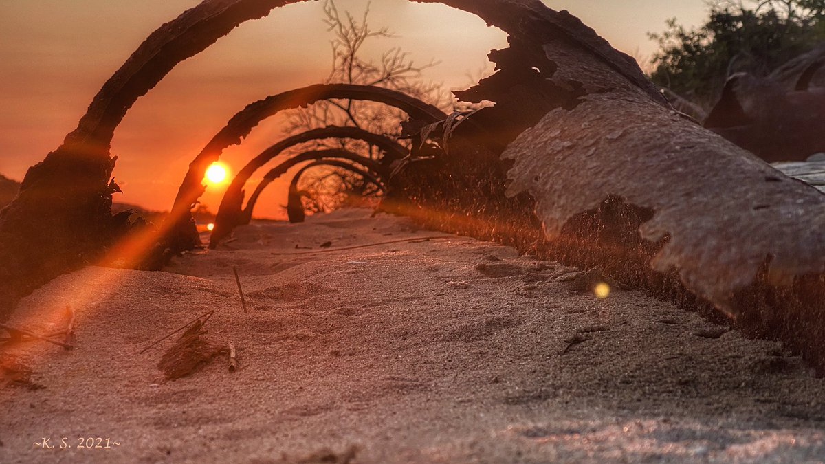 kms795's tweet photo. 🌅 You are not the darkness you endured. You are the light that refused to surrender.~John Mark Green #earthandclouds #weatherphoto #sunset_wx #TopSunsets #stormhour   
#photoplatform #landscape #sunset #ThePhotoHour #skies_in_my_eyes #BestSunsetPhoto @News12LI @longislandpatch https://t.co/22rtL8Z0e9