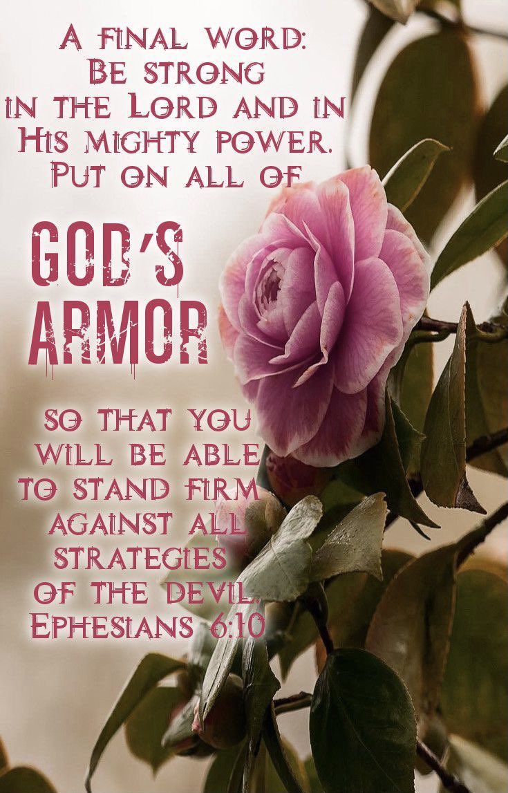 GritAndGrace40's tweet photo. Finally, my brethren, be strong in the Lord, and in the power of his might.
Put on the whole armour of God, that ye may be able to stand against the wiles of the devil.
(Ephesians 6:10-11 KJV) https://t.co/5WRZcuVwoC
