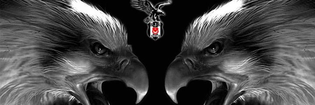 trueburak's tweet photo. Bizim tek davamız Beşiktaştır, istedikleri soruşturmayı açsınlar Beşiktaş’ın hakkını kimselere yedirmeyiz, bunların oyunlarını başlarına yıkacağız hepbirlikte 🦅 #BeşiktaşKABULLENMEZ https://t.co/KbsOUzV7iC