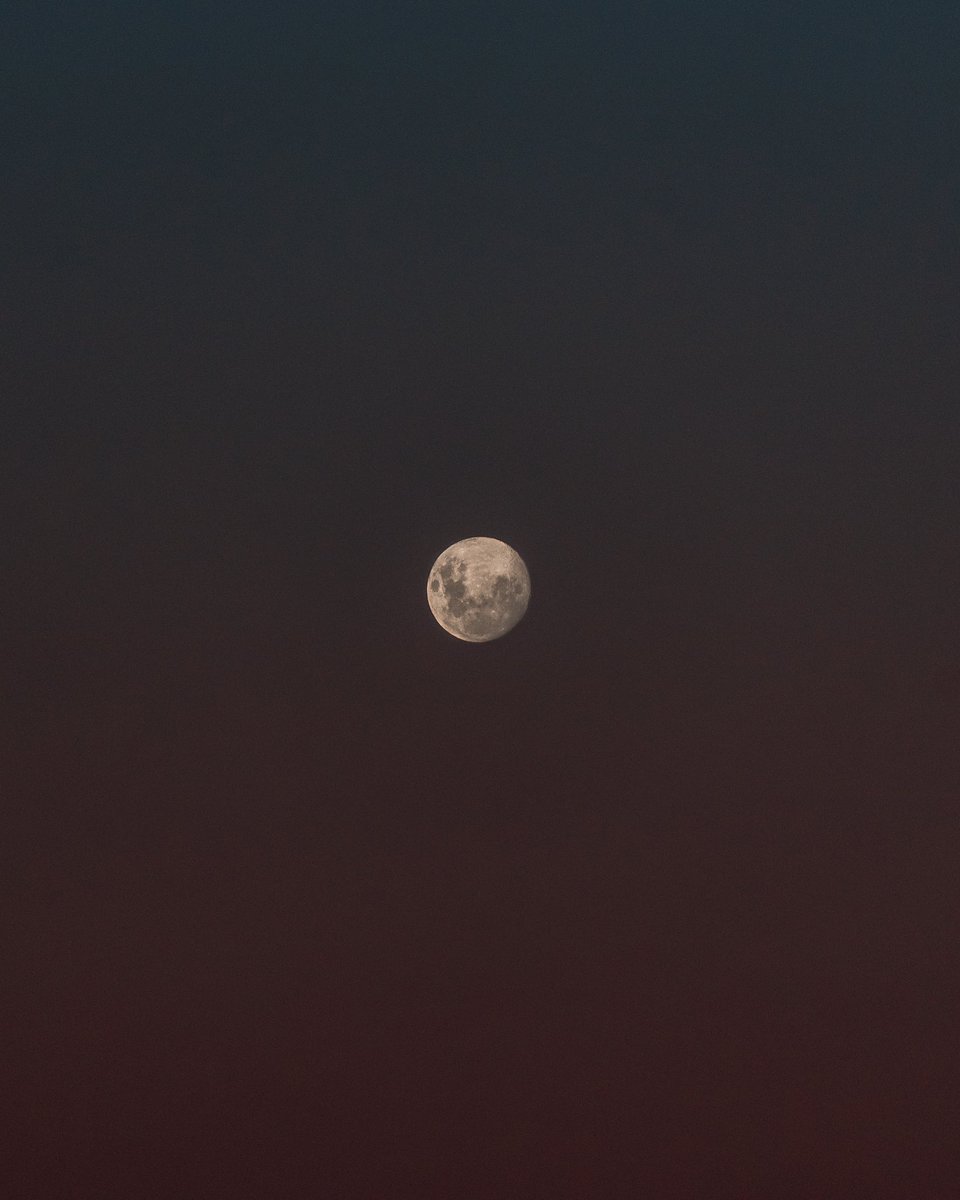 malbec nights / impasse series coming soon <a href="/opensea/">OpenSea</a>