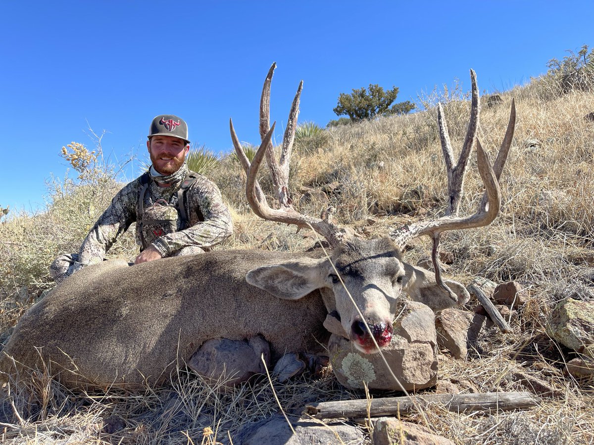 bullkickercolt's tweet photo. 2021 desert mule deer https://t.co/pc2KXYGUow