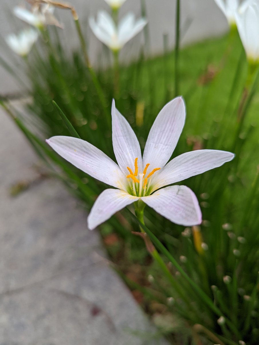 callmeshazzam's tweet photo. Shot on #Pixel6 #pixel6launch #GooglePixel6 https://t.co/pkXL2cIdH7